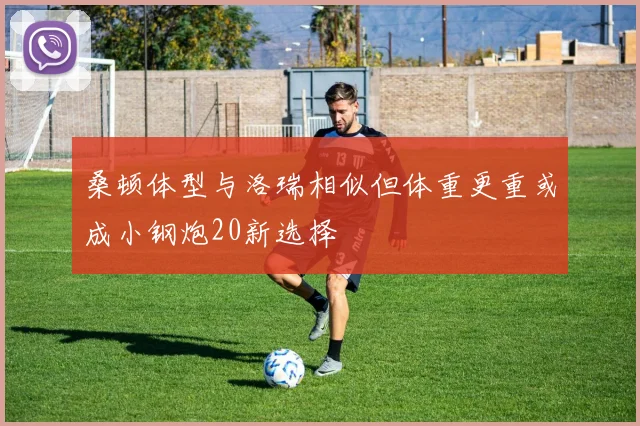 桑顿体型与洛瑞相似但体重更重或成小钢炮20新选择